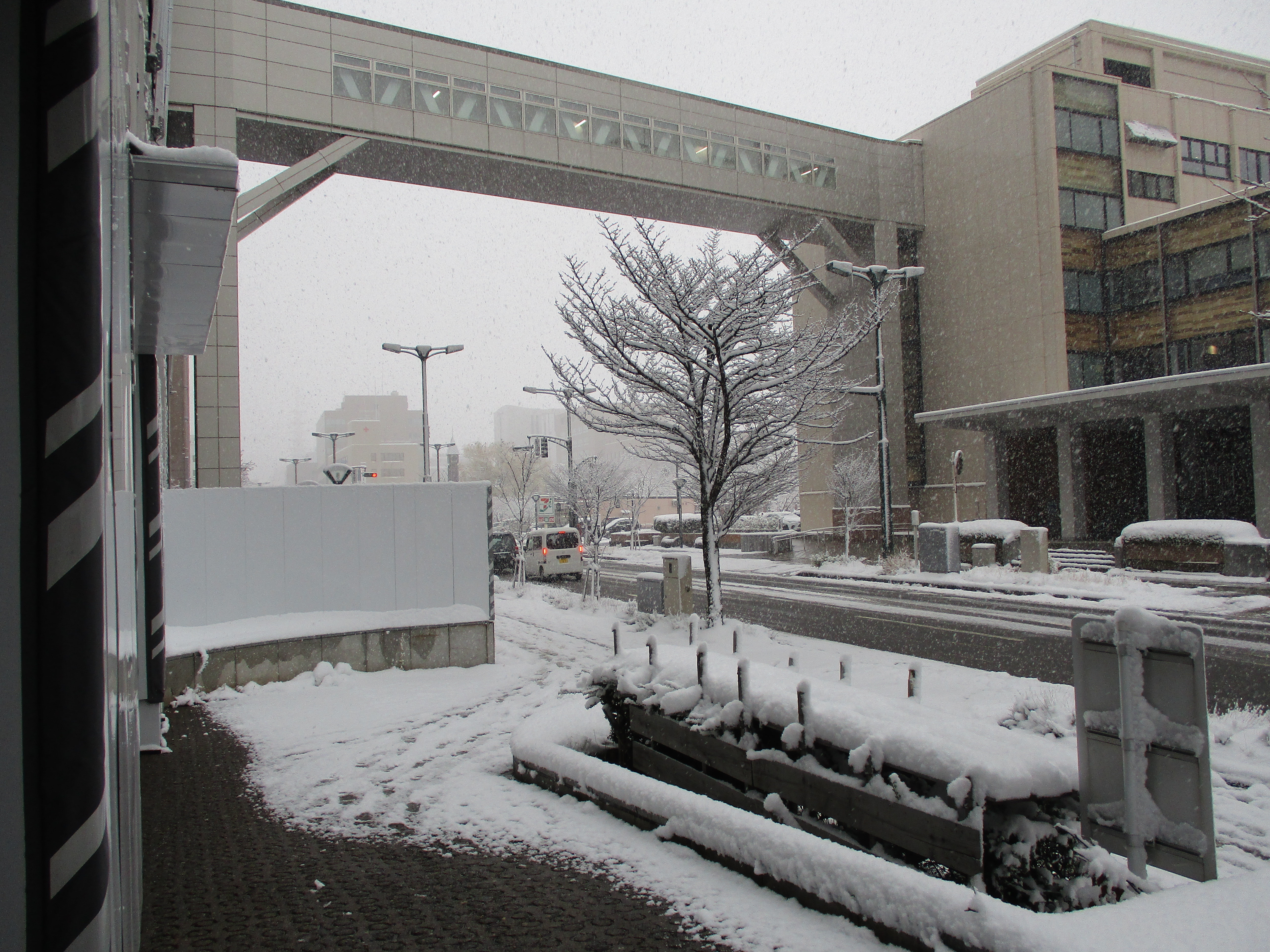 警察本部前の雪景色…